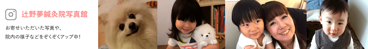 辻野夢鍼灸院の日々をぞくぞくとアップ中！